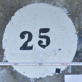 25