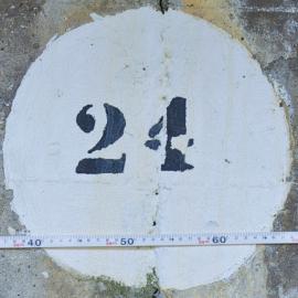 24
