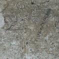 ??/41