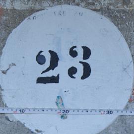 23