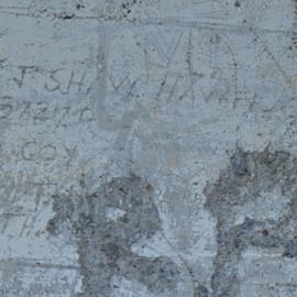 H.J SHAW 57270 D Coy LTR