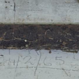 T.M McNeight   24/2/.65
