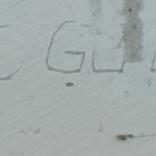 C. GUY