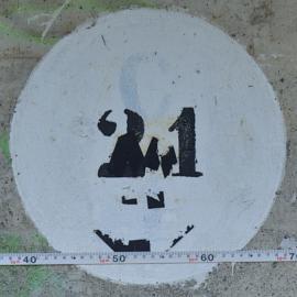 21