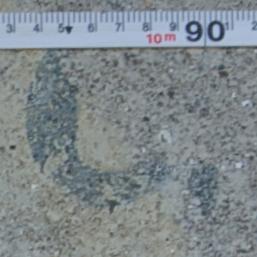 C.