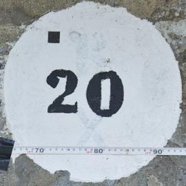 20