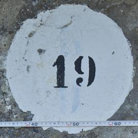19