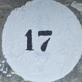 17