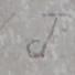 W.J.C.