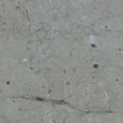 2,3,?,25