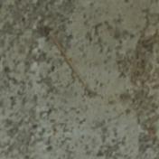 ??A