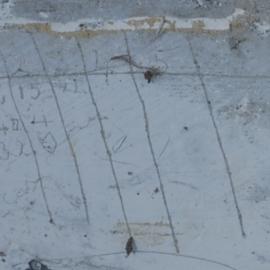 Pencil