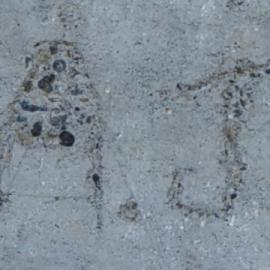A.J