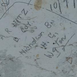 A.R NITZ D Coy Nicholson Bty H.G Wellington