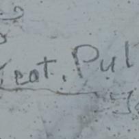 Teat Pulley 30105 ?? Coy