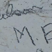 ? Nelson 21st M.E Coy