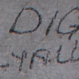 D.I.G.