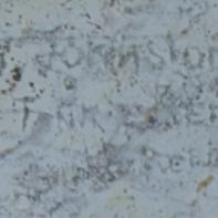 Pte H.W Johnston Anti Tank