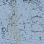 AMS