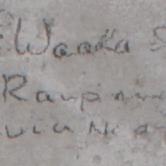 E. Waaka