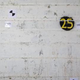 Sommerville Range 175m