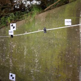 Sommerville Range 178m