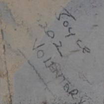 Joyce ???02 ???Volunteers