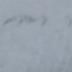 Field ?????r