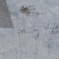 Pencil
