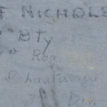 M.F. NICHOLSON 207 Bty, 29th Reg